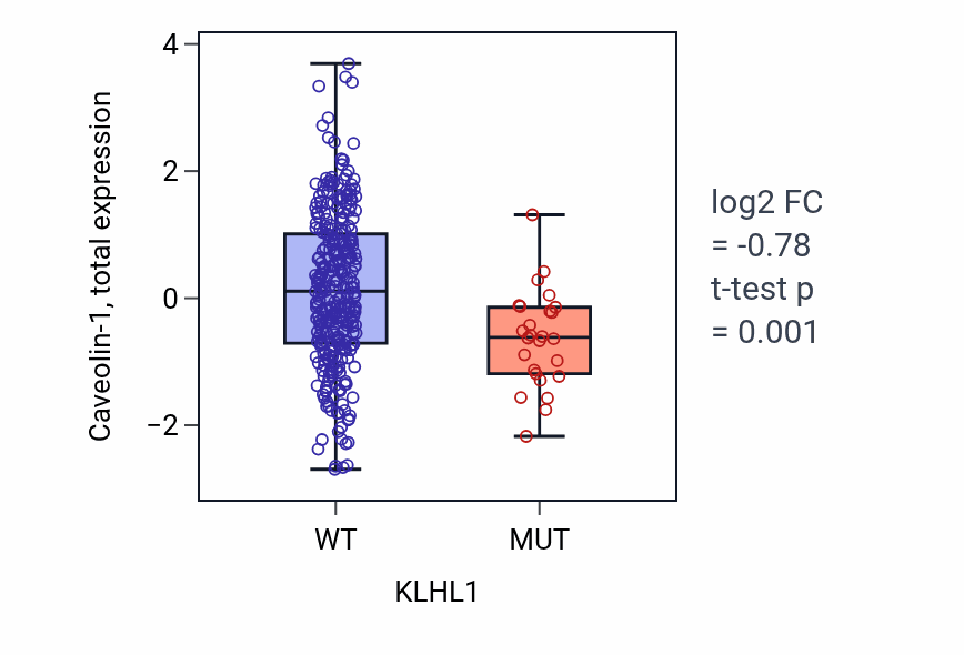 Box plot of Caveolin-1 in KLHL1-low vs KLHL1-high samples in LUAD.