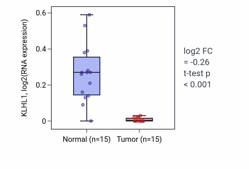 Tumor-vs-normal expression box plot for KLHL1 RNA in KIRP.