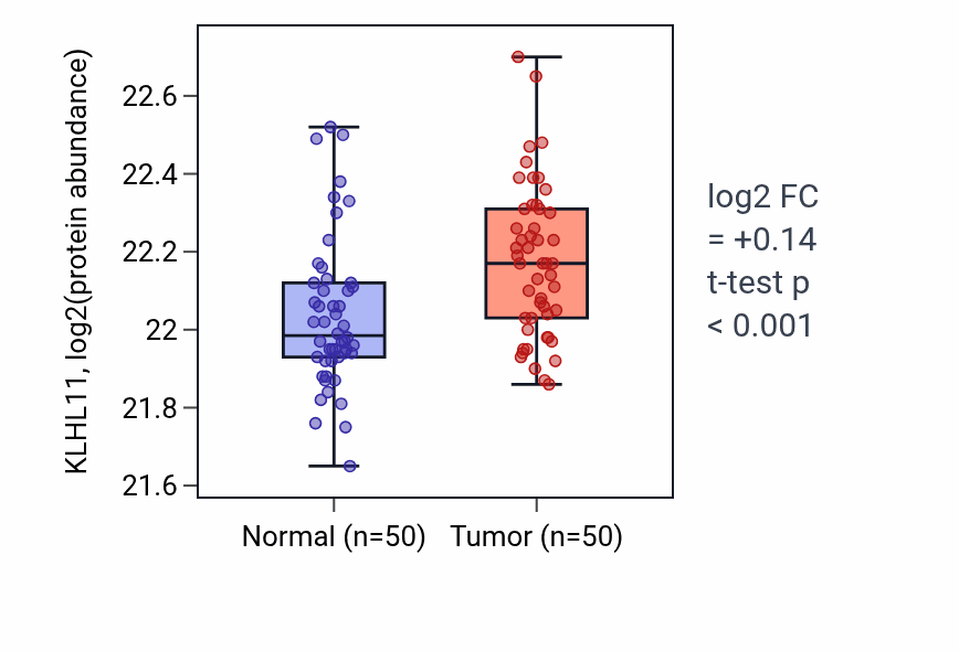 Tumor-vs-normal mass-spec protein box plot for KLHL11 in LSCC.