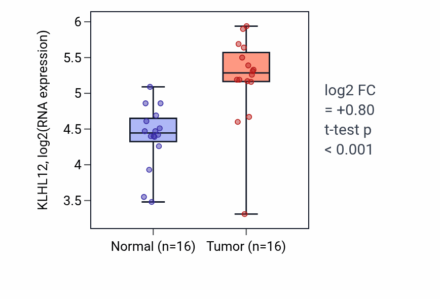 Tumor-vs-normal expression box plot for KLHL12 in HNSC.