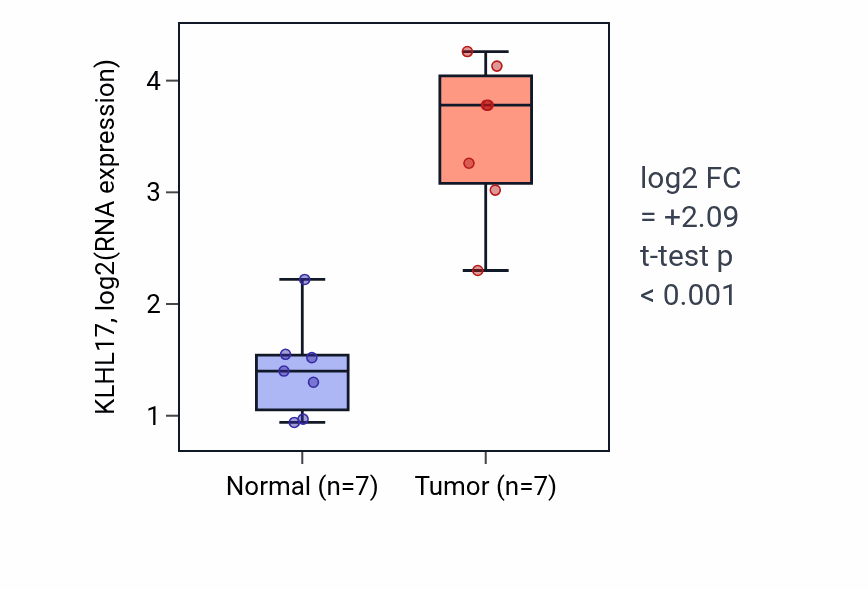 Tumor-vs-normal expression box plot for KLHL17 in COAD.