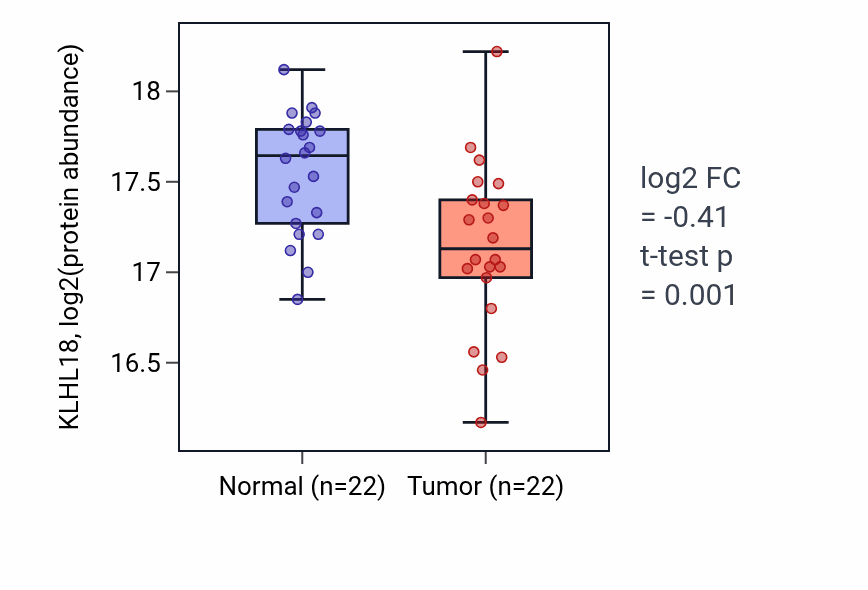 Tumor-vs-normal mass-spec protein box plot for KLHL18 in CCRCC.