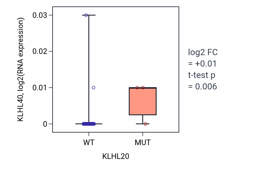 Box plot of KLHL40 in KLHL20-low vs KLHL20-high samples in BLOOD_Lymphoma.