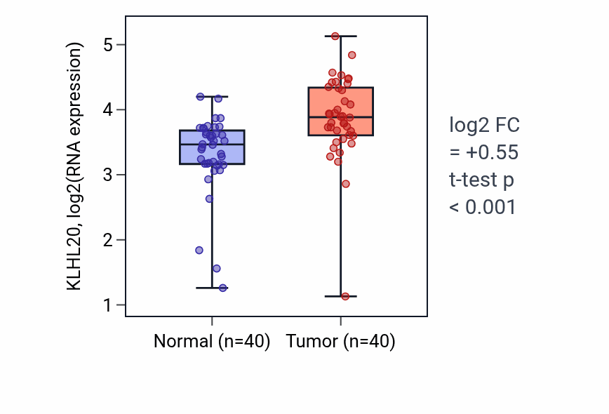 Tumor-vs-normal expression box plot for KLHL20 in HNSC.