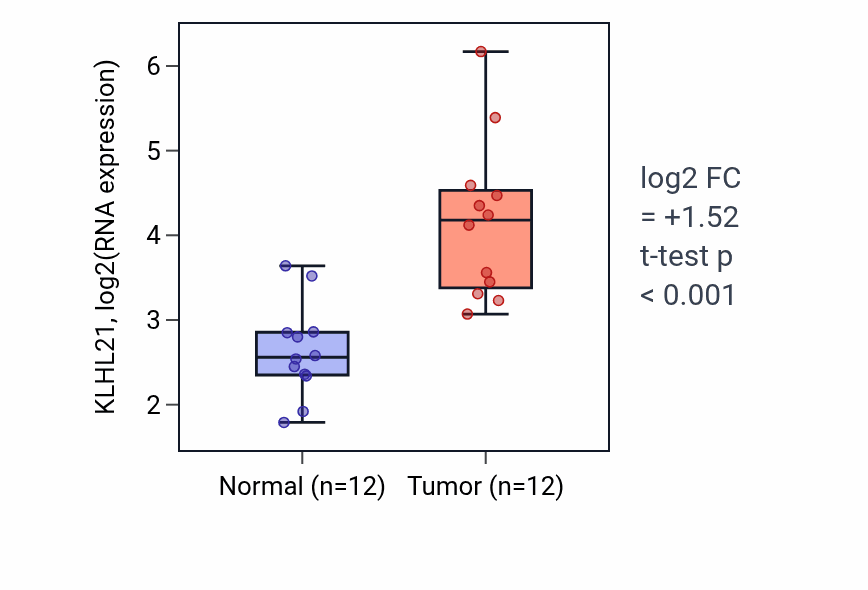 Tumor-vs-normal expression box plot for KLHL21 in LIHC.