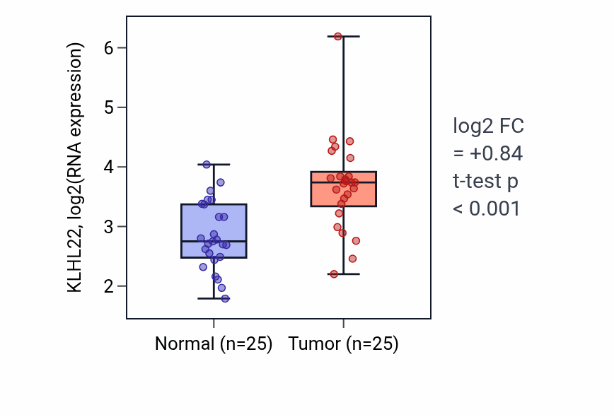 Tumor-vs-normal expression box plot for KLHL22 RNA in HNSC.