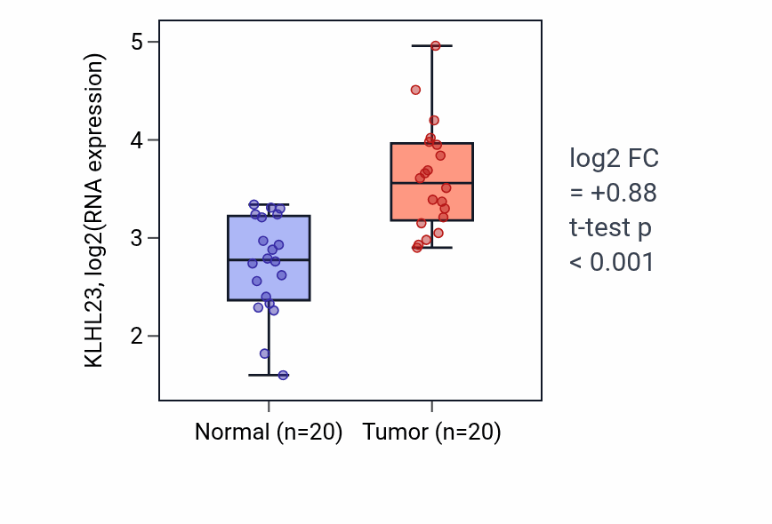 Tumor-vs-normal expression box plot for KLHL23 in KIRC.