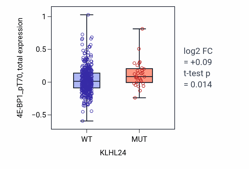 Box plot of 4E-BP1_pT70 in KLHL24-low vs KLHL24-high samples in UCEC.