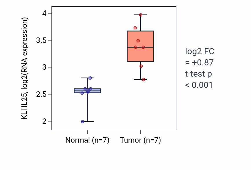Tumor-vs-normal expression box plot for KLHL25 in COAD.