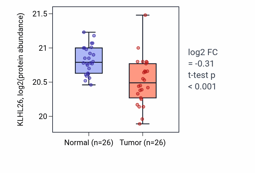 Tumor-vs-normal mass-spec protein box plot for KLHL26 in CCRCC.
