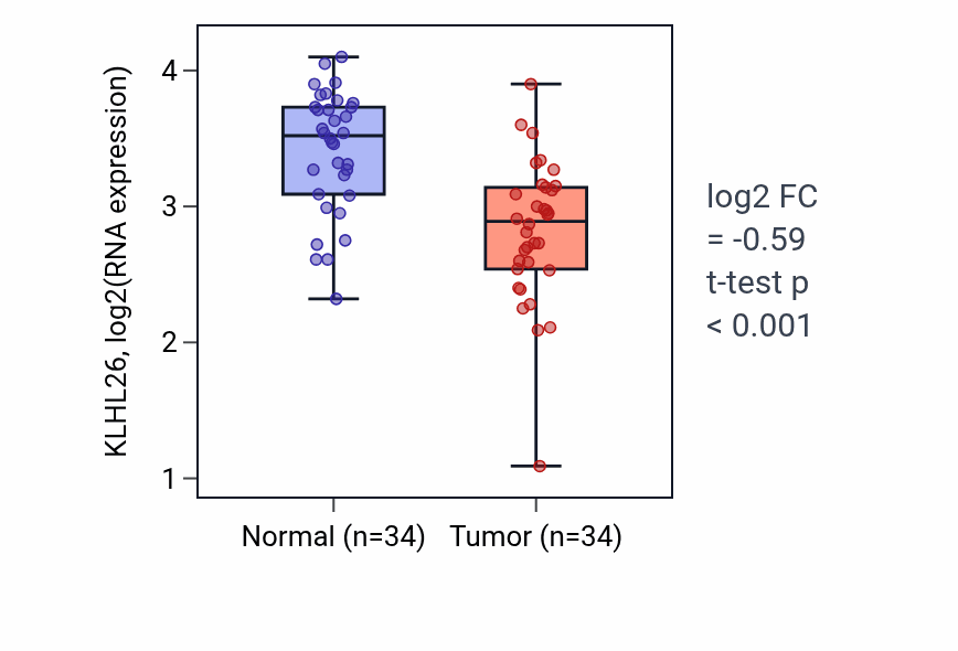 Tumor-vs-normal expression box plot for KLHL26 RNA in KIRC.