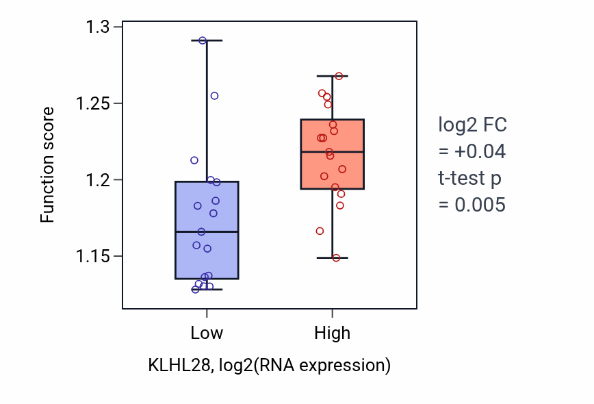 Box plot of Regulation of proteasomal ubiquitin-dependent protein catabolic process in KLHL28-low vs KLHL28-high samples in KIDNEY.