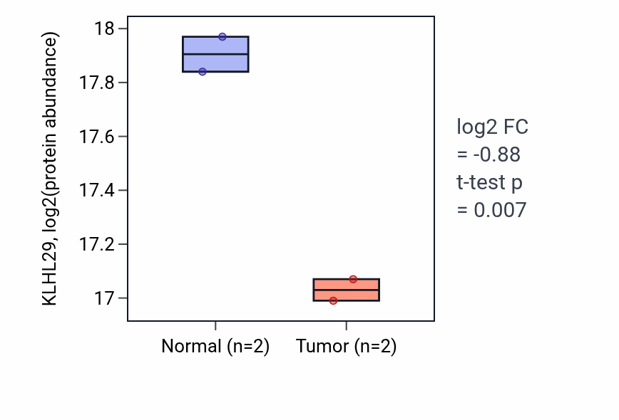 Tumor-vs-normal mass-spec protein box plot for KLHL29 in HNSC.