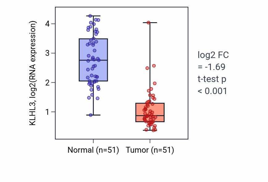 Tumor-vs-normal expression box plot for KLHL3 in KIRC.