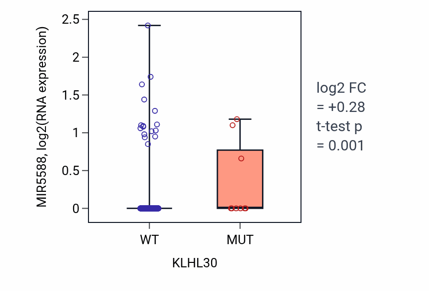 Box plot of MIR5588 in KLHL30-low vs KLHL30-high samples in COAD.