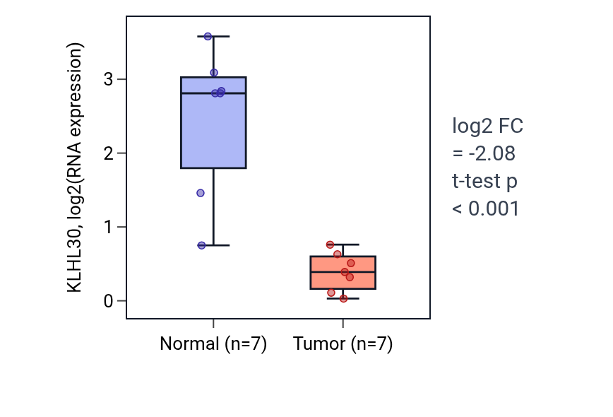 Tumor-vs-normal expression box plot for KLHL30 in BLCA.