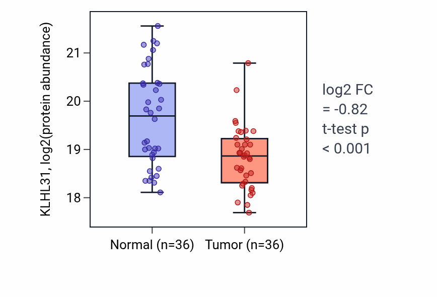 Tumor-vs-normal mass-spec protein box plot for KLHL31 in HNSC.
