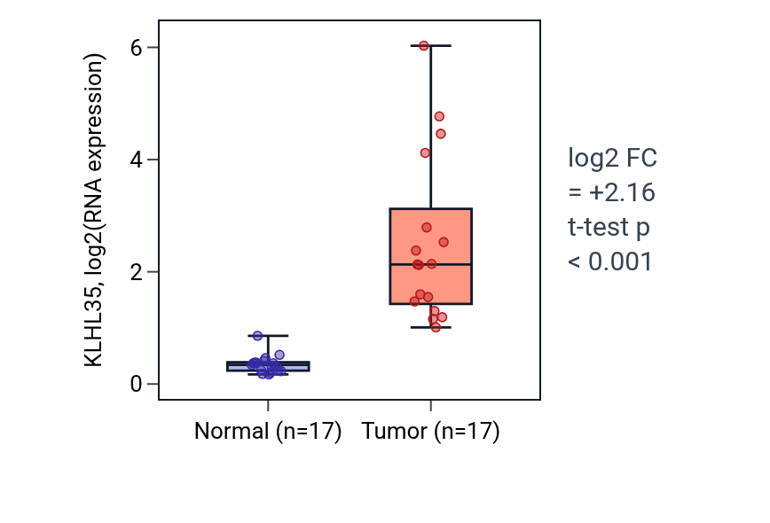 Tumor-vs-normal expression box plot for KLHL35 in COAD.