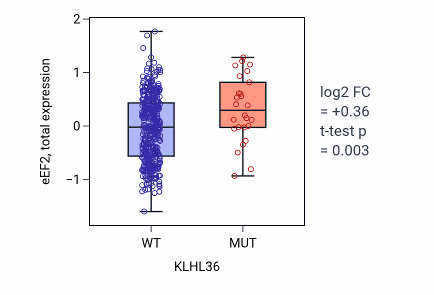 Box plot of eEF2 in KLHL36-low vs KLHL36-high samples in UCEC.