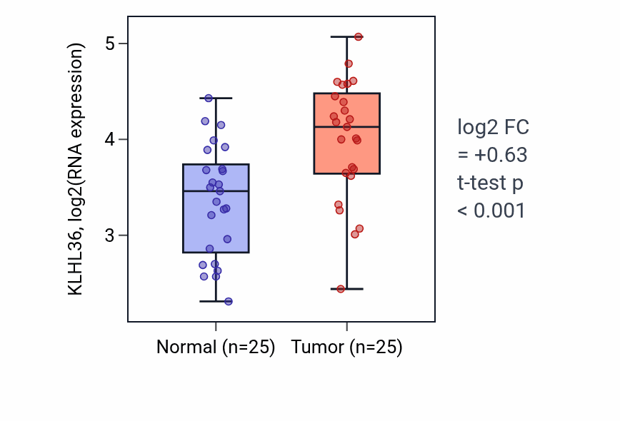 Tumor-vs-normal expression box plot for KLHL36 RNA in HNSC.