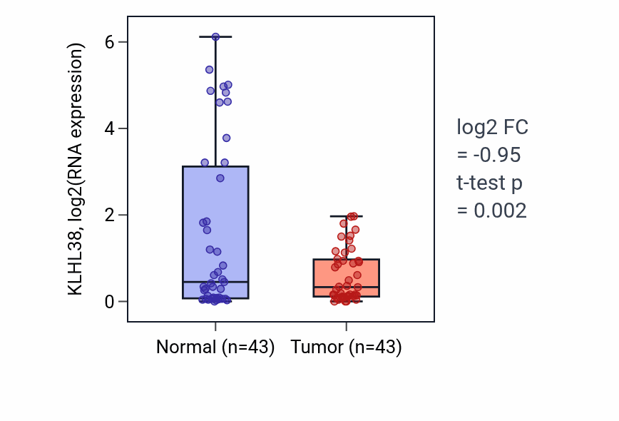 Tumor-vs-normal expression box plot for KLHL38 in HNSC.