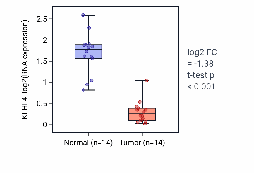 Tumor-vs-normal expression box plot for KLHL4 in THCA.