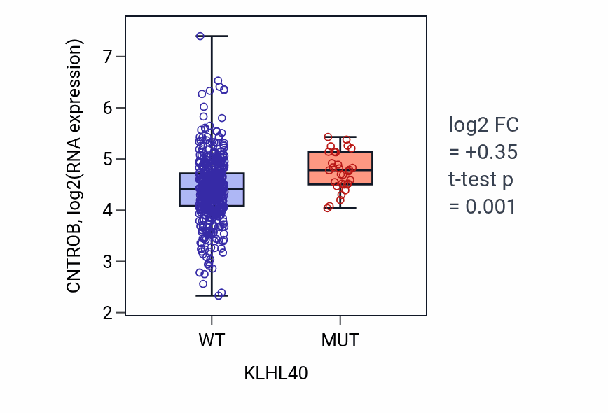 Box plot of CNTROB in KLHL40-low vs KLHL40-high samples in UCEC.