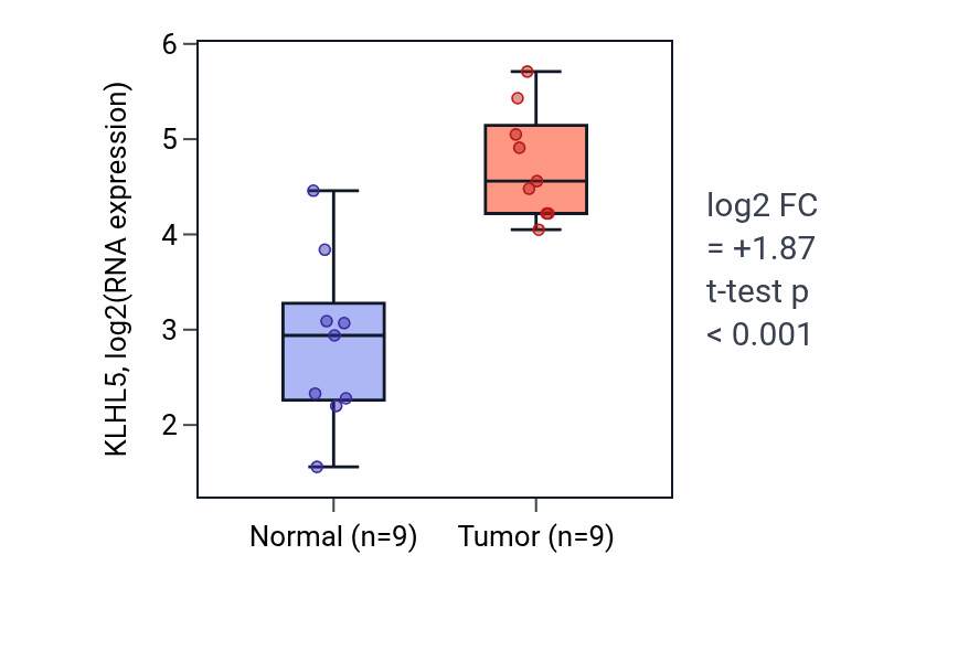 Tumor-vs-normal expression box plot for KLHL5 RNA in HNSC.