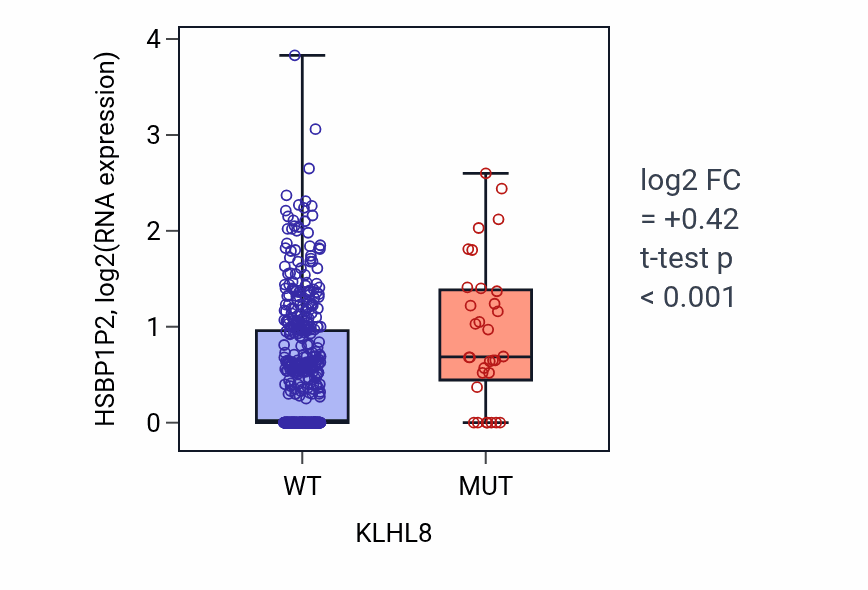 Box plot of HSBP1P2 in KLHL8-low vs KLHL8-high samples in UCEC.