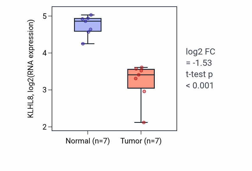 Tumor-vs-normal expression box plot for KLHL8 RNA in THCA.