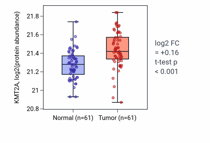 Tumor-vs-normal mass-spec protein box plot for KMT2A in CCRCC.