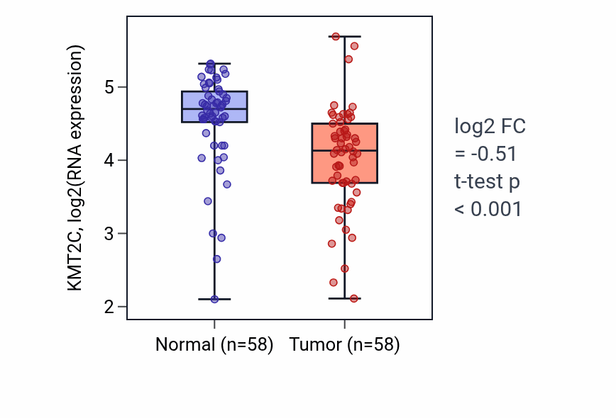 Tumor-vs-normal expression box plot for KMT2C in THCA.