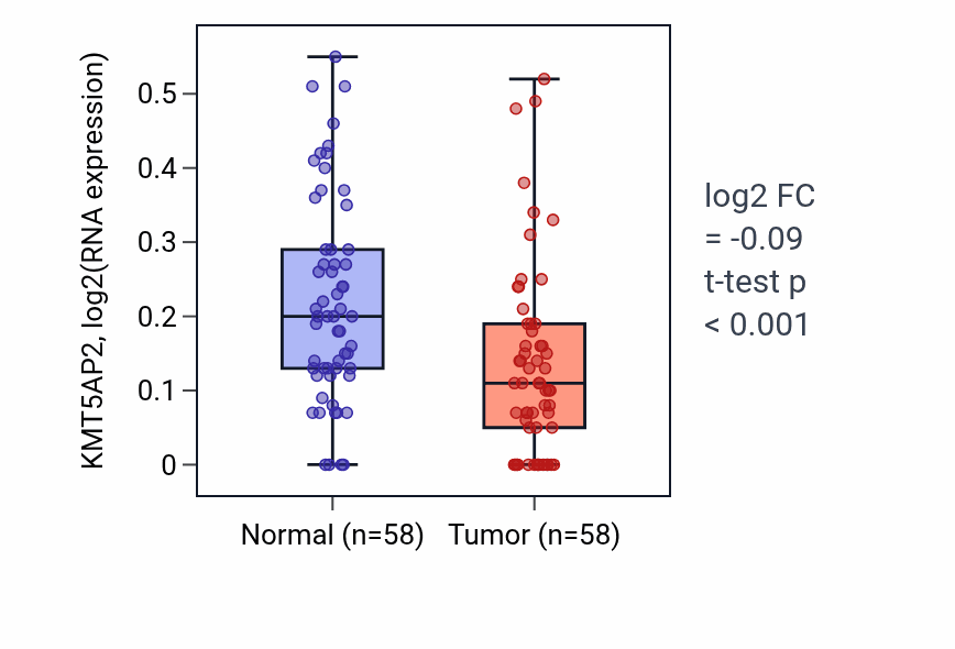 Tumor-vs-normal expression box plot for KMT5AP2 in THCA.