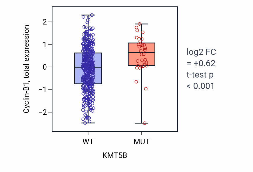 Box plot of Cyclin-B1 in KMT5B-low vs KMT5B-high samples in UCEC.