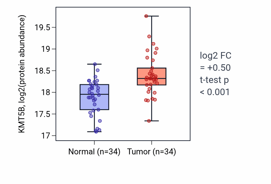 Tumor-vs-normal mass-spec protein box plot for KMT5B in LUAD.