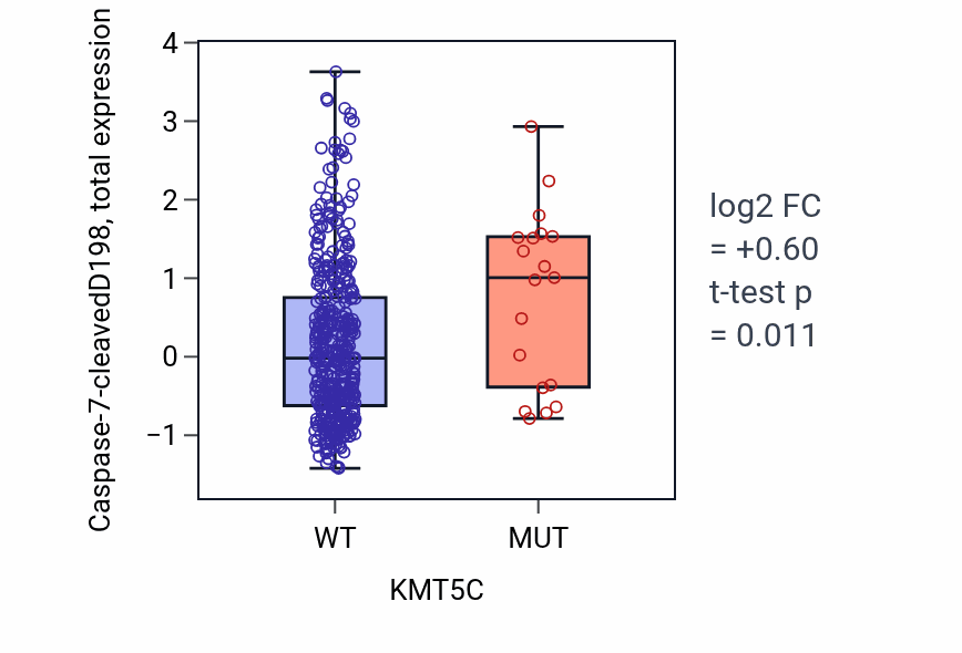 Box plot of Caspase-7-cleavedD198 in KMT5C-low vs KMT5C-high samples in UCEC.