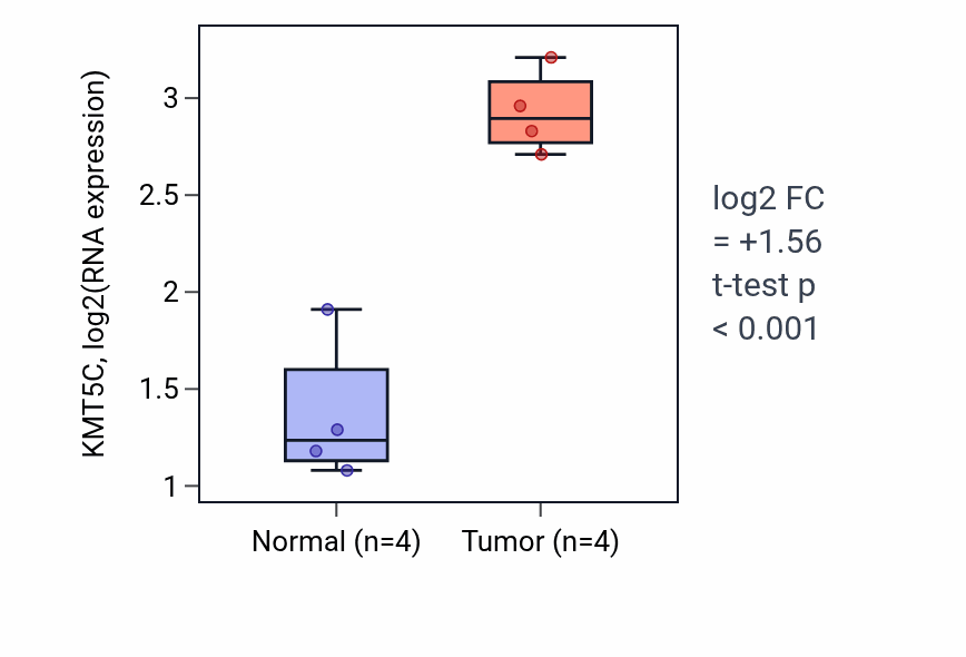 Tumor-vs-normal expression box plot for KMT5C RNA in KIRP.