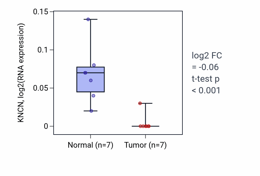 Tumor-vs-normal expression box plot for KNCN RNA in LUSC.
