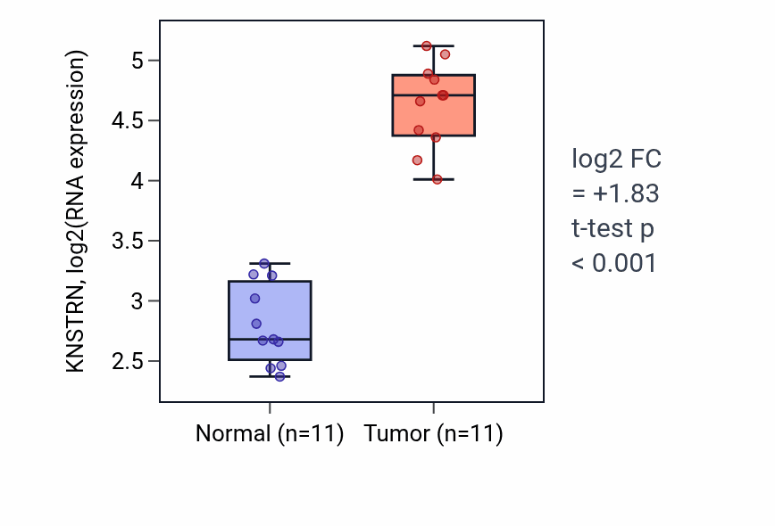 Tumor-vs-normal expression box plot for KNSTRN in HNSC.
