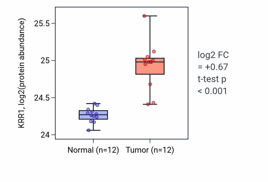 Tumor-vs-normal mass-spec protein box plot for KRR1 in CCRCC.