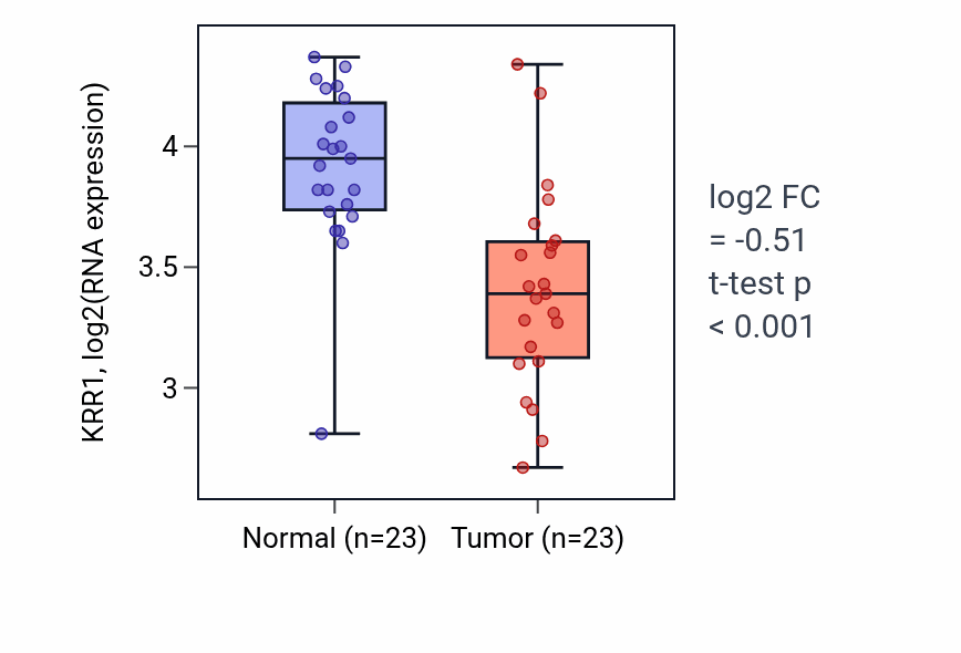 Tumor-vs-normal expression box plot for KRR1 RNA in THCA.