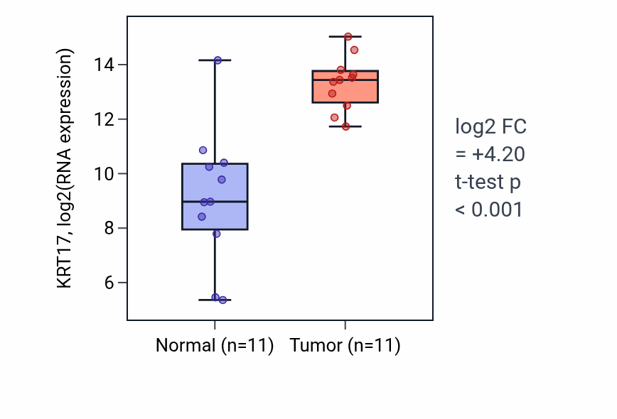 Tumor-vs-normal expression box plot for KRT17 in HNSC.