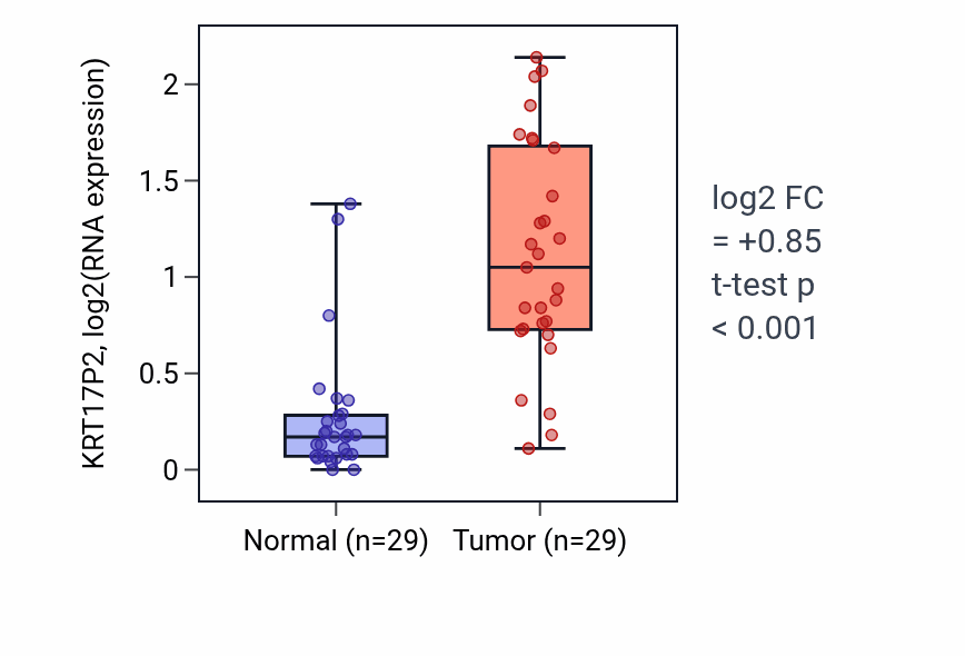 Tumor-vs-normal expression box plot for KRT17P2 in HNSC.