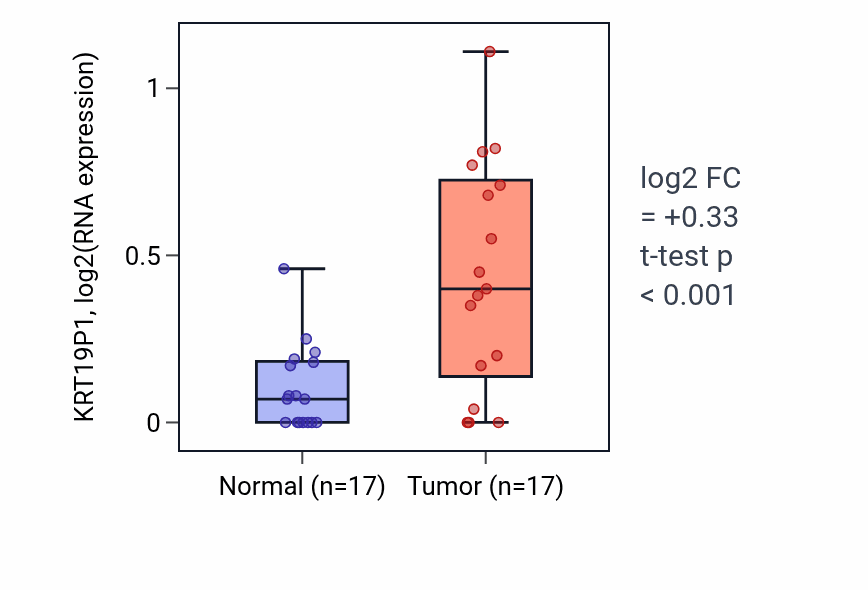 Tumor-vs-normal expression box plot for KRT19P1 in THCA.