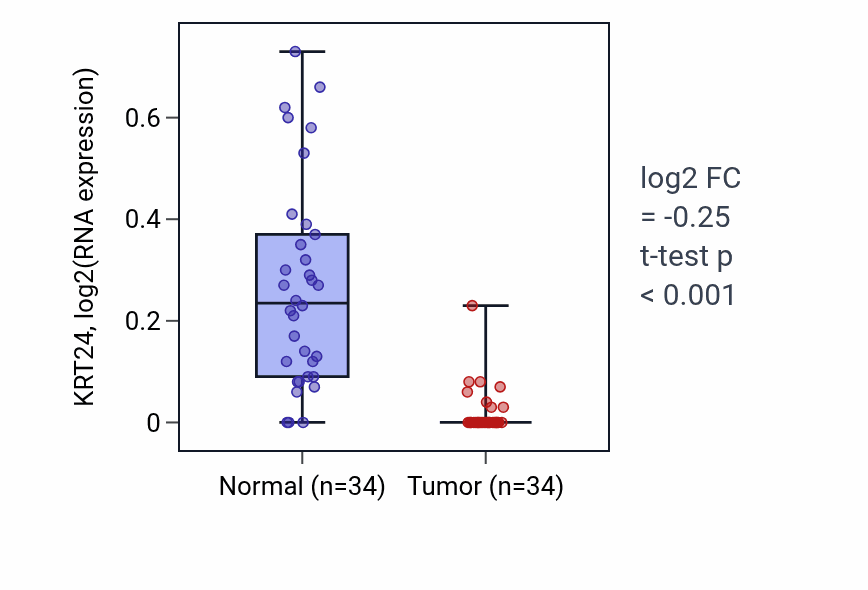 Tumor-vs-normal expression box plot for KRT24 in KIRC.