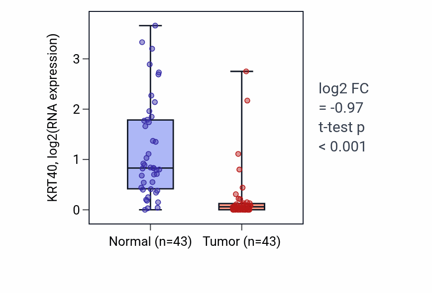 Tumor-vs-normal expression box plot for KRT40 in HNSC.