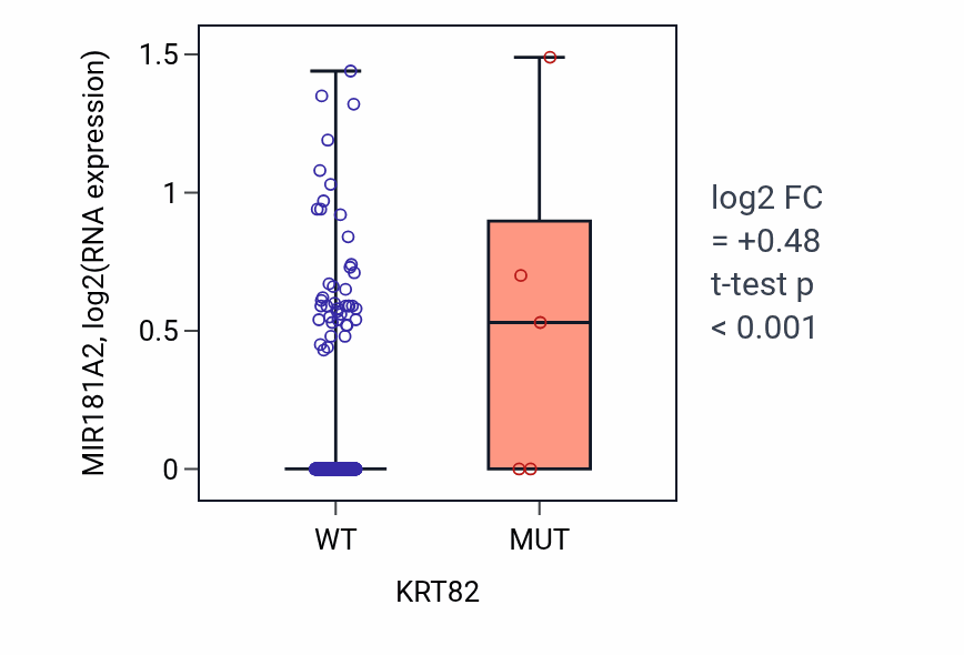 Box plot of MIR181A2 in KRT82-low vs KRT82-high samples in HNSC.