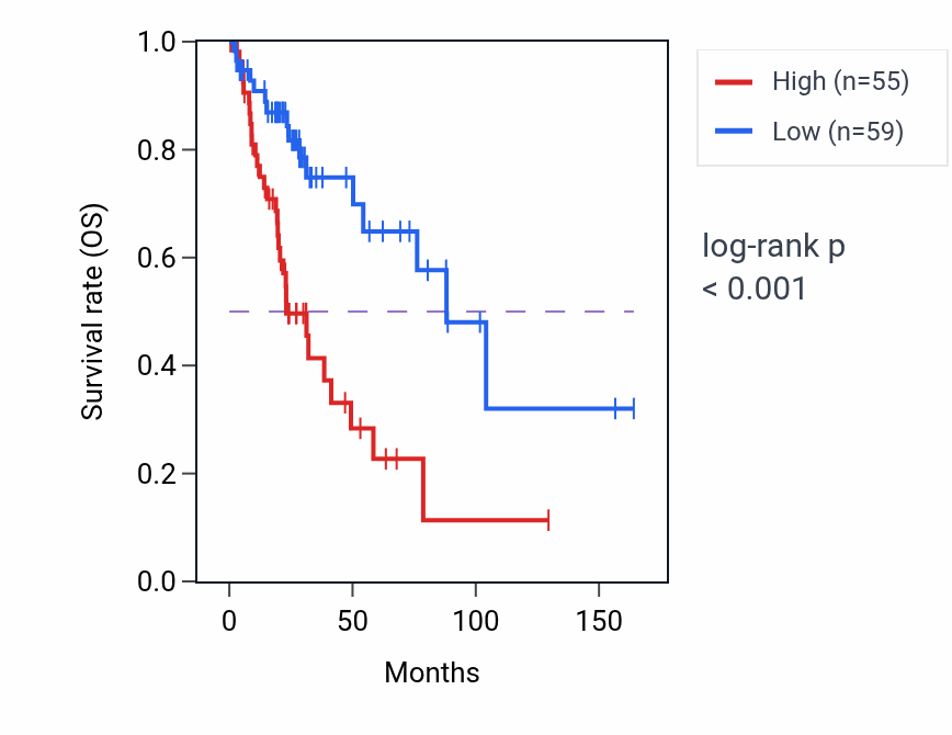 Kaplan&ndash;Meier survival curve for KRT8P13 RNA expression in LUAD: high vs low expression groups.