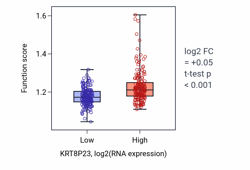 Box plot of Cell-cell junction organization in KRT8P23-low vs KRT8P23-high samples in STAD.