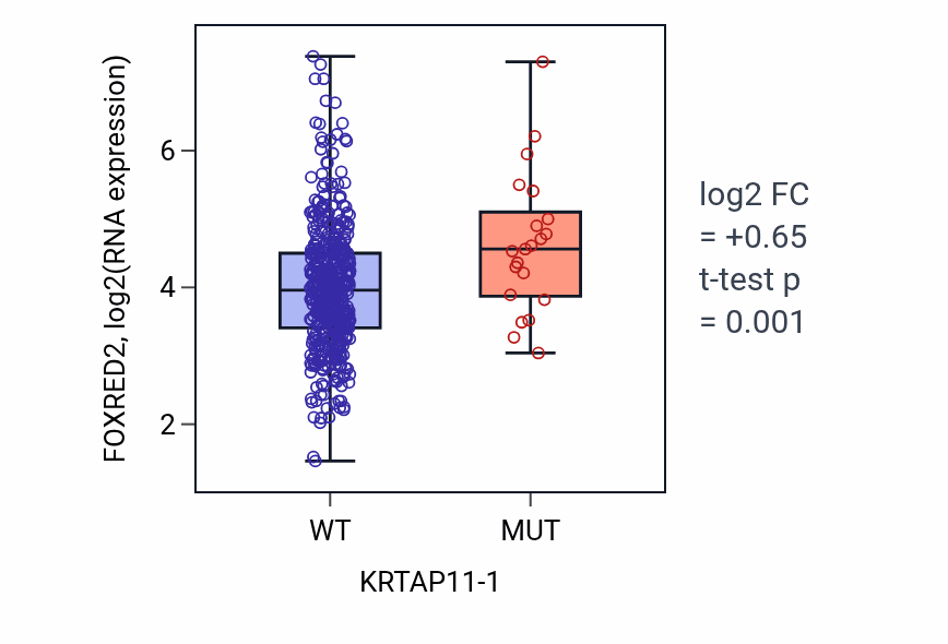 Box plot of FOXRED2 in KRTAP11-1-low vs KRTAP11-1-high samples in LUAD.